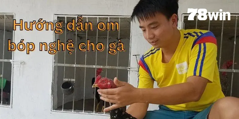 Bí Kíp Cách Nuôi Gà Đá Có Lực Dành Cho Sư Kê Mới Vào Nghề 6 Cách om bóp nghệ cho da kê săn chắc